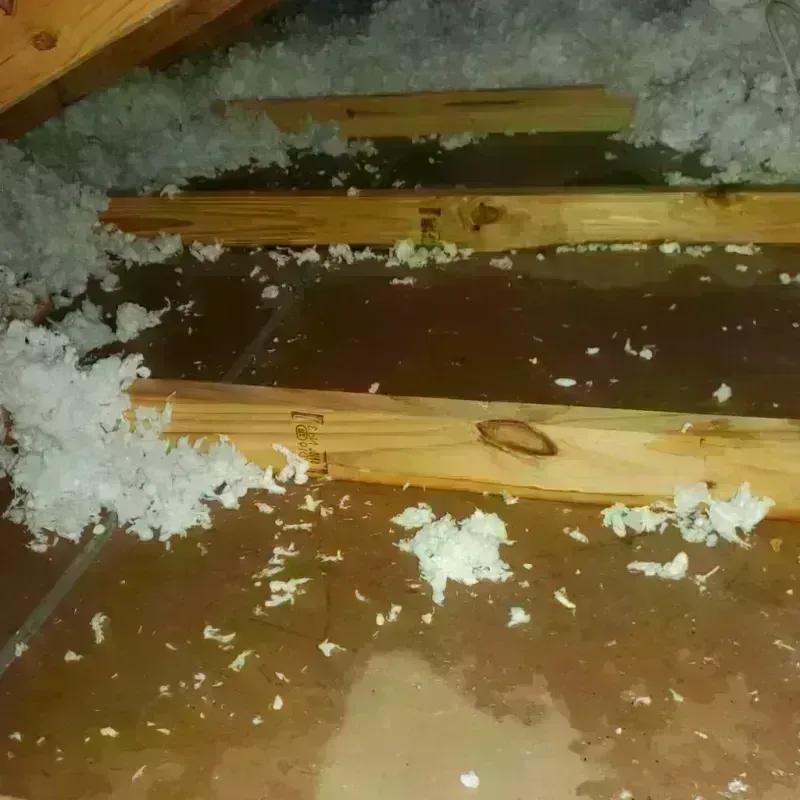 Attic Water Damage in Carson County, TX