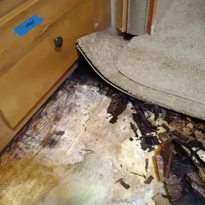 Wood Floor Water Damage in Carson County, TX